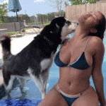 6E22F522-1242-4438-957B-B212B3B4E471.gif