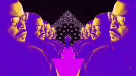 1711248536154.gif