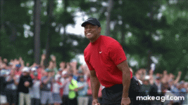 1711305069419.gif