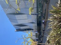 IMG_2975.jpeg