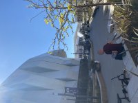 IMG_2976.jpeg