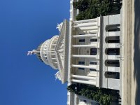 IMG_2983.jpeg