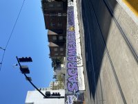 IMG_2980.jpeg