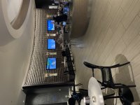 IMG_2989.jpeg