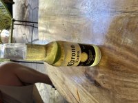 IMG_1311.jpeg