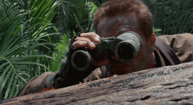 1712281877999.gif