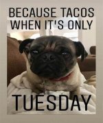 tuesday.jpg