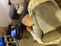 IMG_3919.jpeg
