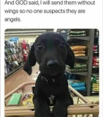 1713890019834.png
