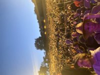 IMG_4143.jpeg