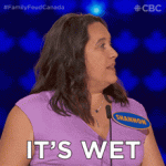it's-wet-family-feud-canada.gif