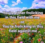 IMG_4468.jpeg