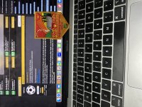 IMG_4638.jpeg