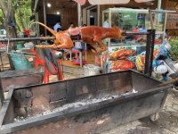IMG_4597.jpeg