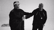 1714866628062.gif