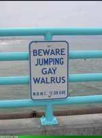 IMG_4649.jpeg
