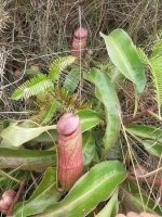 IMG_4660.jpeg