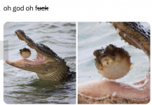 1715031450354.png