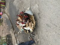 IMG_4730.jpeg