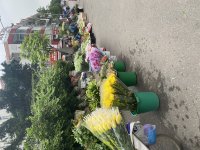IMG_4728.jpeg