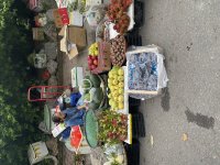 IMG_4729.jpeg