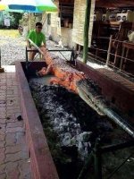 IMG_4911.jpeg