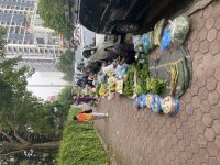 IMG_5136.jpeg