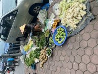 IMG_5137.jpeg