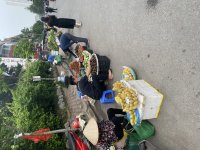IMG_5138.jpeg