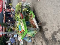 IMG_5140.jpeg
