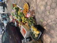 IMG_5146.jpeg
