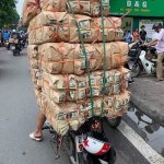 IMG_5218.jpeg
