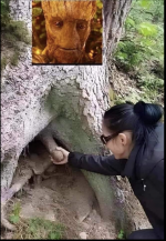 1715957323675.png