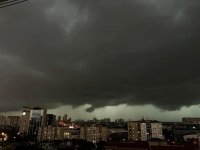 IMG_5390.jpeg
