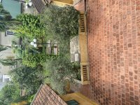 IMG_5506.jpeg