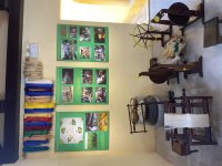 IMG_5501.jpeg