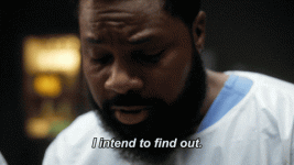 giphy (9).gif