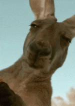 1716571012161.gif