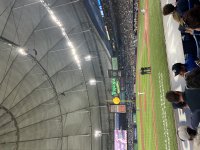 IMG_7376.jpeg
