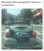 1716993201005.png