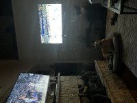 1717122638595.jpeg