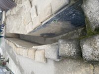 IMG_5950.jpeg