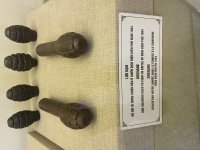 IMG_5986.jpeg