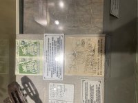 IMG_5983.jpeg