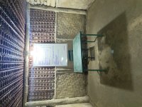 IMG_5955.jpeg