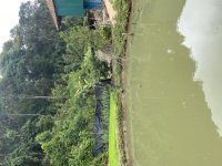 IMG_6065.jpeg