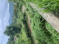 IMG_6064.jpeg