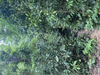 IMG_6057.jpeg