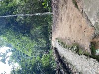 IMG_6058.jpeg