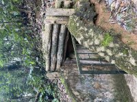 IMG_6052.jpeg